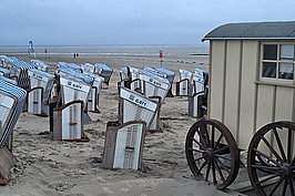 L1001050 -1_t.jpg